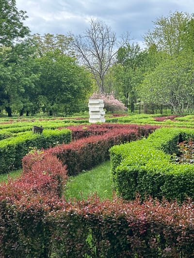 The image shows a hedge maze at Nicolae Romanescu Park in Craiova, Romania. The hedges are a mix of green and red foliage. A white, stacked-block sculpture stands in the background. Tall green trees border the left side of the maze, and the sky is cloudy.