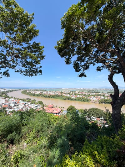 This is a photograph taken from a high vantage point overlooking the city of Tuy Hoa, Vietnam. The image captures a wide expanse of the city, with a prominent river winding through it. In the foreground, the branches and leaves of two large trees frame the scene, with the one on the right being more substantial and in focus. The trees are lush and green, suggesting a tropical or subtropical environment.

The city itself is characterized by densely packed buildings with red-tiled roofs, interspersed with smaller structures and greenery. A notable building with a red, multi-tiered roof structure is visible in the mid-ground, suggesting a temple or pagoda. Beyond the city, the river flows towards the ocean, which is visible in the distance, along with a bridge crossing the water. The sky is a clear, bright blue with a few wispy white clouds.

The perspective is from a hillside covered in dense vegetation, hinting at a natural park or elevated viewpoint within or on the outskirts of the city. The overall impression is one of a vibrant coastal city nestled within a verdant landscape under a sunny sky.