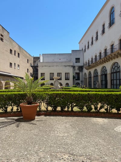 This is an outdoor, ground-level, wide-angle photograph taken on a clear, sunny day in Palermo, Italy. The scene depicts a courtyard with manicured hedges, a large potted palm tree in the foreground, and several buildings surrounding the space. The buildings feature architectural details such as arched windows, balconies with wrought-iron railings, and light-colored facades. A fountain is visible in the center background, within the garden area. The ground in the foreground is paved with small, multi-colored stones. There are no people visible in the image.