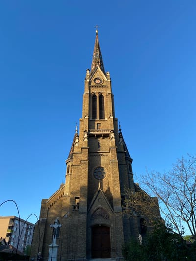 The image shows the Cathedral of Saint Theresa of Avila in Subotica, Serbia. The structure is predominantly brick and features a tall steeple with a clock. Bare branches of a tree are visible near the top right corner. A portion of an adjacent building is seen at the bottom right. The sky is a clear, bright blue. A cross tops the steeple.