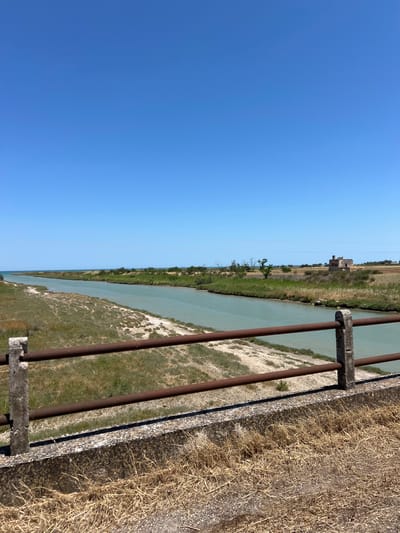 The image depicts a wide canal or river flowing through a rural landscape under a clear blue sky. In the foreground, a rusty metal railing is attached to a concrete barrier, with dry grass and vegetation growing around it. The canal's water is a pale green color, and its banks are lined with green grass and sand. Further in the distance, on the right side of the canal, there is an old, derelict stone building with a chimney. The landscape beyond the canal appears to be a mix of dry fields, low vegetation, and scattered trees. The horizon shows a faint line where the land meets the sea, with more vegetation and trees along the coast. The scene conveys a sense of arid, rural beauty. This location is in Manfredonia, Italy.