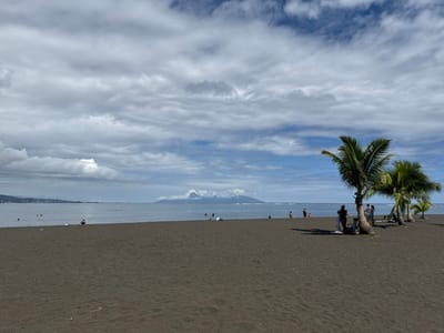 This image depicts a black volcanic sand beach in Māhina, France. The sky above is partially overcast with scattered grey and white clouds, revealing patches of blue. A calm, dark blue ocean extends from the shore to the distant horizon. On the right side of the beach, a cluster of at least five green palm trees stands. Approximately 5-7 individuals are gathered beneath or near these palm trees; one figure in dark attire is partially obscured by a tree trunk, and another light-skinned individual is nearby. Further to the left along the waterline, several additional individuals are present, with some wading or swimming in the ocean and others situated on the dark sand. In the far background, distant mountains with cloud-covered peaks rise from the water, and a coastal settlement is discernible on the left horizon.