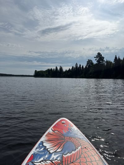 The image shows a first-person perspective from a paddleboard on a lake in Zamosh'e (Zaklinskoe S/P), Russia. The paddleboard, decorated with a red and blue fish design, occupies the right foreground. The water, a dark, rippled surface, stretches to the right and into the background. On the left side of the frame, a dense, dark green forest lines the shore of the lake. Above the forest, a pale blue sky is filled with wispy, white clouds. The sunlight glints off the water's surface, suggesting it is daytime, likely late morning or afternoon. The scene evokes a sense of tranquility and connection with nature, with the paddleboarder enjoying a peaceful day on the water. There is no visible text in the image.