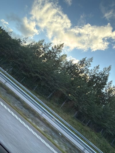The image depicts a view from a moving vehicle on a highway, likely in or near Ödsmål, Sweden, given the context. The road surface, marked with white lines, occupies the lower left portion of the frame, angled diagonally upwards. A metal guardrail runs parallel to the road, separating it from the adjacent embankment. Dense evergreen trees line the embankment, forming a thick forest that extends upwards towards the sky. The trees are dark green and appear to be tall, with sunlight filtering through their branches in places. A wire fence is visible behind the trees, suggesting a boundary or barrier. The sky above is a vibrant blue, partially filled with scattered white and yellowish clouds, illuminated by sunlight, indicating it is likely daytime, possibly late afternoon or early evening due to the warm tones of the clouds. There are no people or animals visible in the image. The scene is natural, with the highway and guardrail being the only man-made elements.