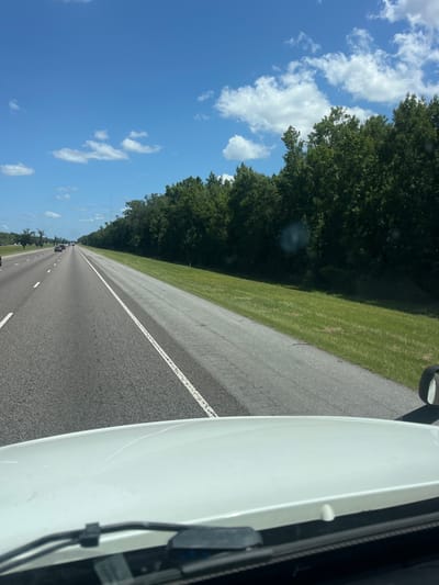 A forward-facing shot from inside a vehicle shows a multi-lane highway in Riceboro, United States, under a bright blue sky dotted with white clouds. The highway stretches into the distance, bordered on the right by a strip of green grass and a dense line of trees. Several cars are visible on the highway. The foreground of the image shows the white hood of the vehicle the photo is taken from, with windshield wipers and part of the dashboard visible.