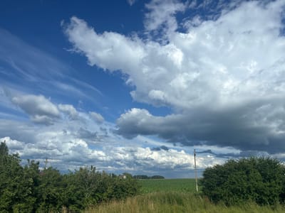 The image depicts a rural landscape under a dynamic sky, likely in the vicinity of Грозаўскі сельскі Савет, Belarus. The foreground features lush green trees and tall dry grass. A field of green crops stretches towards the horizon, where a few scattered houses and trees are visible. Utility poles with wires traverse the middle ground. The sky is a dominant element, filled with a mix of bright white cumulus clouds and darker, more ominous storm clouds, contrasted against a bright blue sky. The overall impression is one of natural beauty and an impending change in weather.