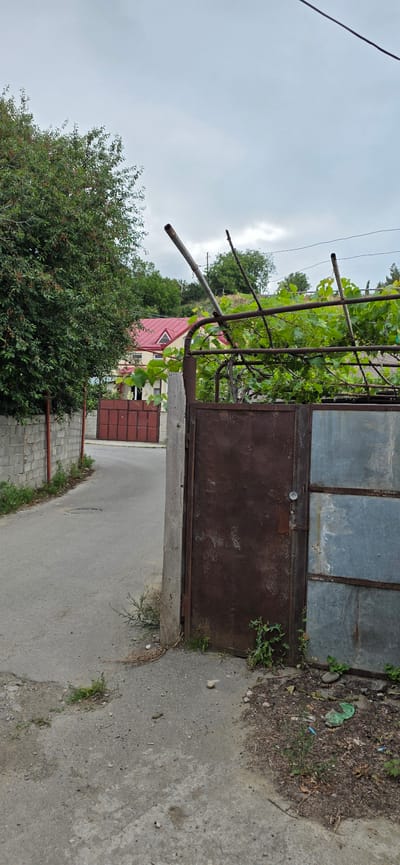 The image depicts a street scene in Gori, Georgia, under an overcast sky. In the foreground, a rusty metal gate stands partially open, revealing a glimpse of a vine-covered trellis behind it. To the left of the gate, a concrete wall borders a paved road that curves away into the distance. Beyond the road, a house with a red-tiled roof and a brown metal gate is visible. Trees and vegetation are scattered throughout the scene, with a large tree to the left of the frame and more foliage behind the house. The ground is paved with asphalt and concrete, with some patches of dirt and scattered debris. The overall impression is one of a quiet, residential street in a somewhat rural or suburban setting.