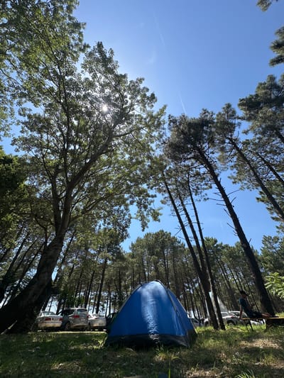 The image depicts a camping scene in Donji Štoj, Montenegro. A blue tent is partially visible on the right side, surrounded by trees. Several silver cars are parked nearby. A person is leaning against one of the cars. The sky is blue with a faint contrail. The sun is shining through the trees. The ground is covered in grass and vegetation.