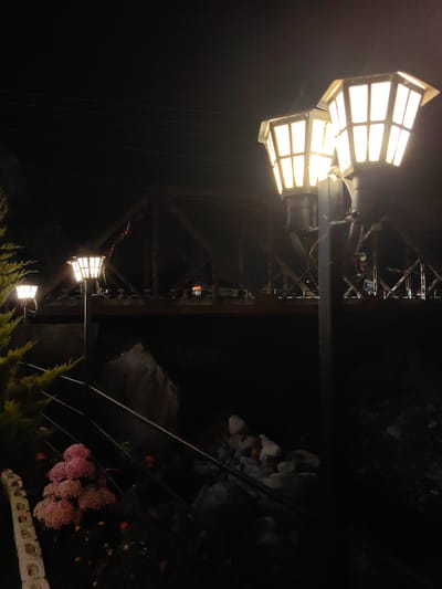 This is a night photograph taken in Kulang, India. The scene is illuminated by a series of ornate, vintage-style street lamps, two of which are prominently featured in the foreground. These lamps have a hexagonal shape with multiple panes, and emit a warm, yellowish light. Behind the lamps, a dark, angular structure, possibly a bridge or a railway trestle, is visible. The bridge's metal framework is silhouetted against the night sky, with hints of distant lights on its surface. In the lower left quadrant of the image, a cluster of pink flowers and some greenery are visible, suggesting a landscaped area. A railing runs diagonally across the bottom of the image, separating the planted area from a rocky, dark embankment. The overall impression is one of a quiet, nocturnal ambiance, possibly in a scenic or historical part of the city.