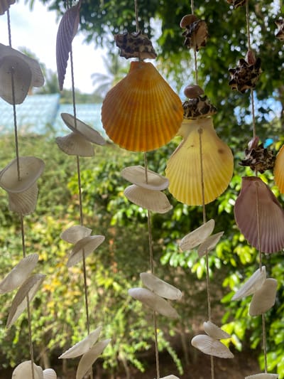 The image depicts a wind chime made of seashells, hanging outdoors in Thong Sala, Thailand. The wind chime consists of multiple strands of rope with various shells attached. Shell types include scallop shells in orange, yellow, and purple hues, as well as small white clam-like shells and spiky turban shells. Green foliage is visible in the background, and a glimpse of the ocean and sky can be seen in the distance. The shells are arranged at varying intervals along the strings.
