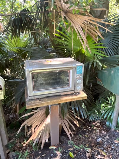 An outdoor scene in Stanwell Park, Australia, features a heavily weathered silver Breville toaster oven positioned on a makeshift wooden stand. The toaster oven, facing forward, displays '34' digitally on its control panel, which also includes multiple circular knobs. Its glass door is obscured by grime and residue, revealing internal racks. A single yellow leaf rests atop the unit. The wooden stand consists of a rough plank supported by a vertical timber post. To the immediate right, a standard green mailbox is partially visible amidst dense, fan-leafed vegetation, including both vibrant green and dry brown fronds. To the left, a portion of another weathered wooden structure is present. The ground beneath the stand is dark soil littered with organic debris and sparse green growth. No individuals are present in the image.