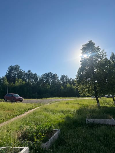 An exterior, eye-level, full shot captures a sunlit scene of a rural or suburban roadside in Zheleznogorsk, Russia. The clear blue sky is dominated by the bright sun, creating lens flares as it shines through the leaves of a large tree in the foreground to the right. A red car is parked on a gravel shoulder to the left, next to a grassy area. A dirt path winds through the grass towards the road. In the background, a dense line of trees forms a forest. Two parked cars are visible further down the road to the right, partially obscured by trees. The foreground shows remnants of concrete planters filled with overgrown vegetation. The overall impression is of a bright, sunny day in a natural setting, possibly on the outskirts of a town.