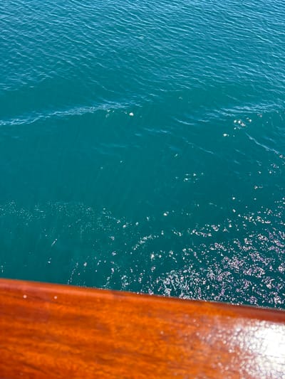 The image captures an elevated perspective of a body of water, likely the sea near Piombino, Italy, juxtaposed with a wooden structure. The vast majority of the frame is dominated by the water, which displays a clear, blue-green hue. Gentle ripples and small waves create a textured surface, with bright sunlight sparkling and glinting off the water, especially in the upper and central right portions of the image. These bright reflections suggest clear, sunny weather during the day.

A prominent section of a reddish-brown wooden surface occupies the right side of the frame, running vertically from top to bottom. This wood, possibly a boat railing, deck edge, or pier, appears smooth and polished, catching the sunlight and showing subtle grain and reflections. The close proximity of the wood to the water indicates a vantage point directly above or beside the water.

There are no people, animals, or specific human activities visible in the scene. The image focuses on the natural elements of water and light, along with the man-made wooden structure, conveying a sense of serene natural beauty. No text is visible in the image.