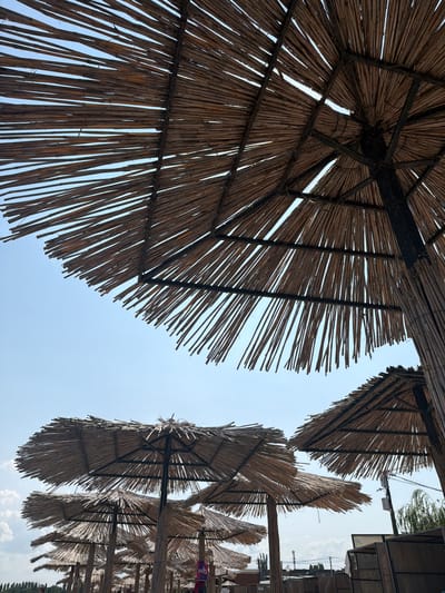 The image depicts a cluster of thatched umbrellas on a beach, viewed from below against a clear blue sky. The umbrellas are made of natural materials, with a wooden central pole and a canopy constructed from dried reeds or straw. The weave is loose, allowing sunlight to filter through. In the background, several more umbrellas are visible, as well as some buildings and trees. A few people can be seen in the distance, and there are electrical poles and wires. The scene suggests a warm, sunny day at a seaside resort. The location is identified as Stefanidinodar, Russia.