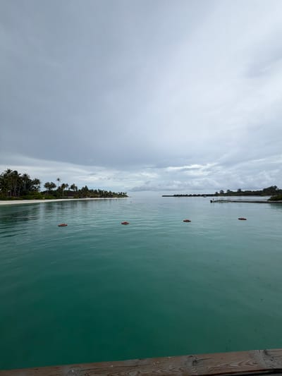 The image captures a coastal scene in Guraidhoo, Maldives. The view is from a pier or dock, evident from the wooden structure on the right edge. The water is a clear, light greenish-blue, with slight ripples indicating a gentle breeze. Small orange buoys are spaced out across the water. The shoreline is lined with lush, green vegetation, including numerous palm trees, indicating a tropical climate. The sky is overcast with a mix of grey and white clouds. It appears to be lightly raining.