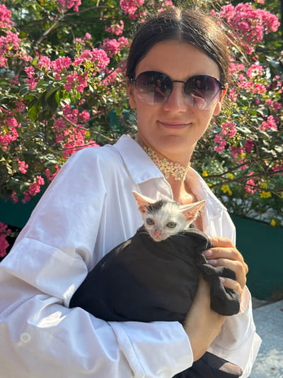 A young woman with dark hair and sunglasses is holding a small, white and black kitten. The woman is wearing a white collared shirt and a decorative choker necklace. The kitten is nestled in a black fabric pouch held by the woman. They are standing in front of a lush bush with abundant pink flowers, possibly crape myrtle, commonly found in the region of Thuận Nam, Vietnam, known for its tropical climate and blooming flora. The sunlight suggests it is daytime.