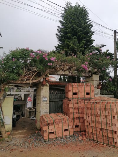 The image depicts a street scene in Lang Biang, Đà Lạt, Vietnam, characterized by overcast skies and a mix of natural and construction elements. In the foreground, stacks of unmortared red bricks, bound with green plastic straps, are piled on the dirt and gravel ground, suggesting ongoing construction or preparation. To the left, an entranceway is partially visible, featuring a light-colored pillar with a "80 TO HIEU" sign. Within the entrance, a motorcycle is parked, and a white bag with red lettering is leaning against a structure. Above and behind this entrance, a weathered wooden pergola, draped with green foliage and pink flowers, forms an archway. A large, dense evergreen tree, possibly a Norfolk Island pine, dominates the background, its dark green needles contrasting with the pale sky. Power lines crisscross the upper portion of the frame, and in the distance, a red-tiled roof is partially visible. The overall impression is one of a developing area within a tropical or subtropical climate, with a strong presence of both vegetation and building materials. There are no people visible in the scene.