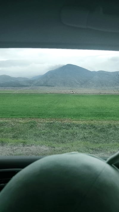 The image presents a rural landscape viewed from within a vehicle, located in the vicinity of Topolchane, Bulgaria. The upper third of the frame shows the dark grey interior roof lining and sun visor of the vehicle. The lower foreground is occupied by the dark grey, curved surface of a vehicle's dashboard or steering wheel.
Through the windshield, a broad, flat expanse of vibrant green agricultural field dominates the midground. A strip of lighter green and brown vegetation, consistent with an uncultivated roadside, separates the immediate foreground from the main field. In the far midground, beyond the green field, a lighter brown plain extends towards the base of distant terrain. Several light-colored buildings are visible on this plain, and a cluster of smaller, indistinct structures, potentially residential, is situated further left at the foot of the mountains.
The background features a range of mountains, appearing dark green and grey, with their upper slopes and peaks partially obscured by a low, uniform grey cloud cover. The sky above is overcast and pale grey. No people, specific actions, or direct interactions are visible. The overall environment is agricultural and mountainous under diffuse lighting conditions.