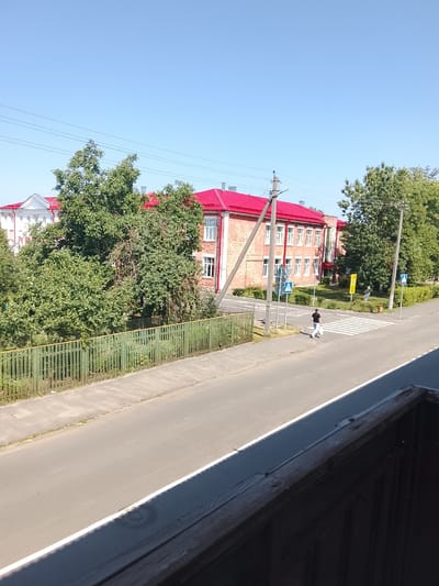 The image depicts a street scene in Zhlobin, Belarus, on a clear, sunny day. In the background, a two-story brick building with a bright red roof is visible. The building has numerous windows, and a white structure is attached to its left side. Mature trees with dense green foliage are situated in front of and around the building, partially obscuring it.
A paved road runs through the foreground and mid-ground of the image. A pedestrian crossing with white stripes is marked on the road. A single person, dressed in a black shirt and light-colored pants, is walking across the pedestrian crossing, carrying a white bag. To the left of the road, there is a green metal fence bordering a grassy area. Electrical wires are strung across the sky, supported by utility poles. The foreground of the image is dominated by the edge of a wooden structure, possibly a balcony railing, which is dark brown and weathered. The sky is a clear, bright blue.
