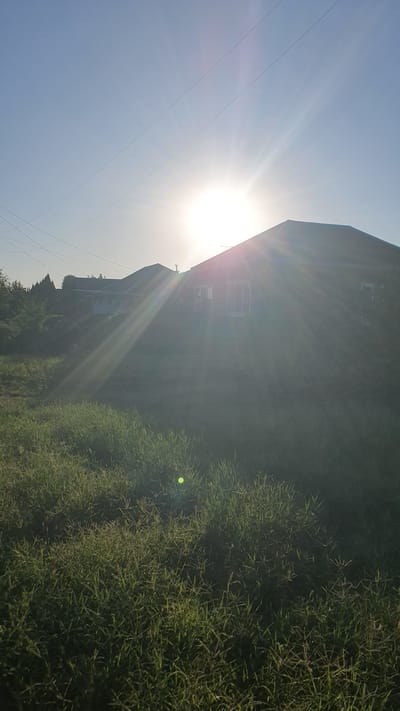The image depicts a sun-drenched outdoor scene in Ust-Labinsk, Russia, likely during early morning or late afternoon given the low angle of the sun. The sun is prominently positioned in the upper central part of the frame, casting strong rays that create a lens flare effect and silhouette the landscape. In the background, two houses are visible, partially obscured by the glare. One house, closer to the right side of the image, appears to have a dark, sloped roof and windows. Further back and to the left, another house with a lighter colored roof and visible porch area is situated amongst trees and foliage. The foreground is dominated by a dense area of green grass, some of which is illuminated by the sun, while other parts are in shadow. Power lines are faintly visible stretched across the clear blue sky in the upper portion of the image. There are no people or animals clearly discernible in the scene. The overall impression is one of a rural or suburban setting bathed in the warm light of the sun.