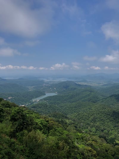 This is a high-angle, wide shot photograph of a lush, green mountainous landscape with a body of water visible in the distance. The sky is a vibrant blue with scattered white clouds. The foreground is dominated by dense, dark green foliage, indicating a tropical or subtropical environment.
As you move into the midground, rolling hills covered in a similar dense forest stretch out. There are patches of lighter green, suggesting cultivated areas or different types of vegetation. A winding road is visible on the left side of the image, cutting through the hills. Further into the midground, a calm body of water, likely a lake or a large river, reflects the blue sky.
In the background, more layers of mountains fade into a hazy blue, creating a sense of depth and vastness. Another body of water, even larger than the one in the midground, is visible on the far horizon. The overall impression is one of natural beauty and tranquility.
This landscape is characteristic of the area around Nam Hải, Vietnam, known for its mountainous terrain, dense forests, and numerous lakes and rivers. The scene depicts a rural or natural setting, devoid of any visible human activity or structures, other than the road and some subtle signs of human presence like buildings clustered near the water in the midground.