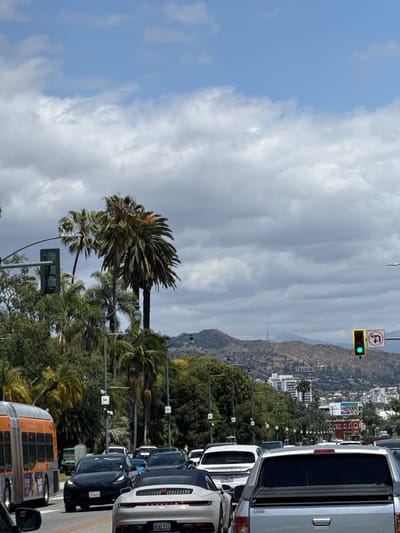 The image displays a multi-lane street scene in Beverly Hills, United States, under an overcast sky with scattered white and grey clouds. Traffic is heavy, with numerous vehicles visible, suggesting congestion. In the foreground, a silver Porsche with the license plate "8UAL514" is prominent, positioned behind a black Tesla with the partially visible license plate "7P9G913." To the right, the rear of a silver pickup truck is seen, and behind the Porsche is a white SUV. An orange city bus is partially visible on the far left.
The street is lined with abundant, lush green foliage, including numerous tall palm trees, which are a characteristic feature of the region. In the background, distant, arid-looking hills and mountains rise, dotted with residential buildings. Infrastructure elements like streetlights and traffic signals are present, with a green light and a "No U-turn" sign visible on the right side of the road. The setting suggests a daytime scene in a bustling, verdant urban environment.