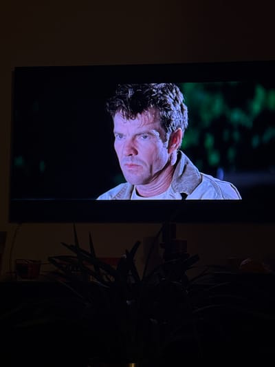 A television screen displays a close-up of a man's face, tilted to the side. The man has short, dark hair and appears to be wearing a light-colored jacket. The background behind the man is blurred, suggesting a natural setting, possibly woods. The television is mounted on a wall and to the right of the television is a dark plant with sharp leaves. The environment is dimly lit. No information in the photo suggests the city of Neuilly-sur-Seine, France.