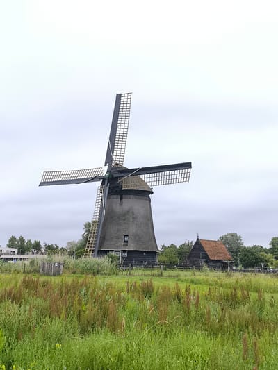 This is a full shot of a traditional Dutch windmill, likely located in the outskirts of Alkmaar, Netherlands. The windmill, with its thatched roof and wooden sails, stands prominently in the center of the frame. To the right of the windmill, there is a dark wooden barn with a red-tiled roof. The scene is set against a backdrop of lush green fields and trees, with a cloudy sky overhead. The foreground is filled with tall grass and wildflowers. A wooden fence runs along the edge of the field, and in the distance, a modern building can be seen on the left. There are no people or animals visible in the image. The overall atmosphere is peaceful and rustic, characteristic of the Dutch countryside.