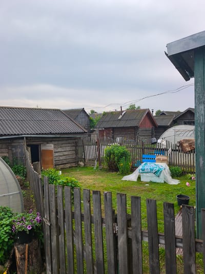 The image depicts a rural backyard scene in Kady, Russia, under an overcast sky. A weathered wooden fence in the foreground separates the viewer from a grassy yard. Beyond the fence, several rustic wooden houses with corrugated metal roofs are visible. In the middle ground, a small greenhouse structure stands next to a wooden fence. Various objects are scattered in the yard, including a blue bench, a white cooler covered with a green and white patterned cloth and plastic sheeting, a cardboard box, and a black bucket. Green foliage and flowering plants are abundant throughout the scene. The overall impression is one of a lived-in, slightly cluttered, and modest rural dwelling.