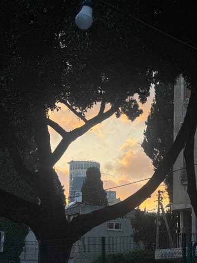 The image captures a silhouetted view of trees against a warm, cloudy sky at dusk. The sky is filled with soft hues of orange and yellow, indicating sunset. The trees, with their dark, imposing branches, frame the sky and the urban landscape visible in the background.

In the distance, buildings and utility poles are discernible. One building appears to be a multi-story structure with visible windows. The overall scene suggests an urban or suburban environment. The presence of a lightbulb on the left side of the frame hints at an outdoor lighting fixture.

The image is oriented vertically, with the sky at the top and the base of the trees and foreground elements at the bottom. The dark silhouettes of the trees create a dramatic contrast with the lighter sky, evoking a sense of tranquility or perhaps melancholy associated with the end of the day. The weather appears to be clear, with the clouds contributing to the beautiful sunset colors. The location context is Givatayim, Israel, which aligns with the presence of urban infrastructure. No visible text is present in the image.