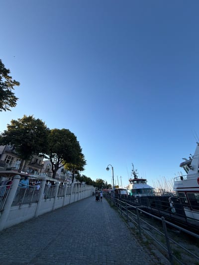 This is a daytime, eye-level, outdoor, vertical shot taken at the Rostocker Straße 10, Warnemünde, Germany, overlooking the harbor. In the foreground, a cobblestone promenade is visible, lined with a white railing and a wall. Beyond the promenade, a row of trees with lush green foliage separates the walkway from buildings with balconies and windows. Further into the scene, several boats are docked, including a large white vessel with a red stripe and "Markgrafenheide" written on its side. Other boats, including a red and white tugboat, are also present. The sky above is clear and blue. A few people can be seen walking along the promenade. The overall atmosphere is tranquil and sunny.