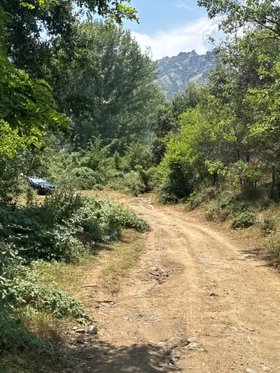 The image depicts a dirt road winding through a lush, green, and mountainous landscape. The road itself is unpaved and appears to be used by vehicles, as evidenced by tire tracks. On the left side of the road, partially obscured by dense foliage, is a dark-colored, four-door vehicle, possibly a jeep or SUV. The surrounding vegetation is abundant, with various trees and bushes creating a dense canopy in some areas and sparser growth along the roadside. In the background, rugged, rocky mountains rise against a bright, partly cloudy sky. The scene suggests a remote, natural setting, likely within the vicinity of Madzharovo, Bulgaria, a region known for its mountainous terrain and natural beauty. There are no people visible in the image.