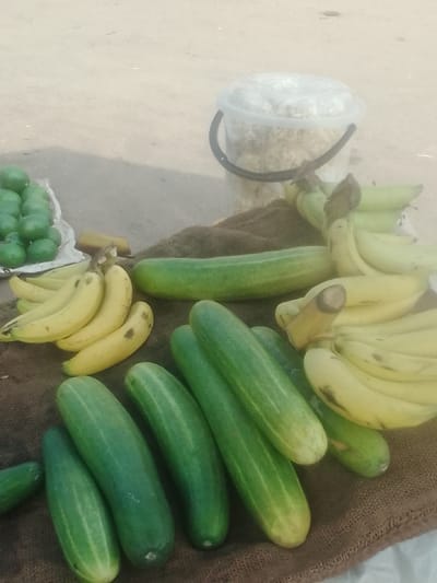 A variety of fruits and vegetables are displayed on a brown cloth. Several green cucumbers dominate the foreground, along with bunches of yellow bananas and a small pile of green limes on the left. Behind the bananas and cucumbers, a clear plastic bucket filled with small, light-colored food items is visible. The scene is brightly lit, indicating an outdoor setting.
