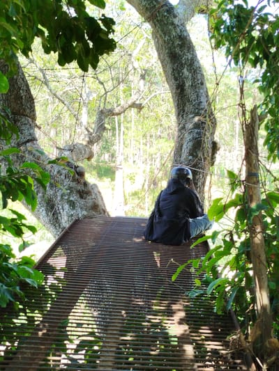 A person is depicted seated on a horizontal, dark brown metal grate structure within a forested area in Tuý Sơn, Vietnam. The individual is positioned with their back to the viewer, facing away and observing the dense woods ahead. They are wearing a dark, possibly black, jacket, light-colored pants, and a dark helmet on their head. The metal grate features numerous parallel horizontal bars, through which sunlight casts distinct linear patterns of light and shadow onto the ground beneath. To the left, a large tree with textured, light-grey and dark-grey bark curves prominently upwards. Another tree trunk, lighter in color and wrapped with vines, is visible to the right of the seated person. Lush green foliage frames the scene on both the left and right sides in the immediate foreground. The background consists of a thick forest composed of numerous slender trees with light-colored trunks, appearing somewhat hazy under bright natural daylight.