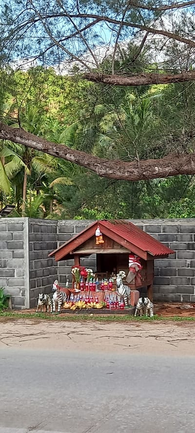 A photograph depicts a roadside stall in Ko Pha-ngan, Thailand, constructed with gray concrete blocks and topped with a red, slanted roof. The stall displays various items, including small zebra figurines and colorful trinkets, laid out for sale. Adjacent to the stall, a paved road extends into the distance. A large tree with visible branches and foliage is situated to the left of the structure, adding a natural element to the scene. The surrounding vegetation includes tropical plants, indicative of the region's climate. The overall setting suggests a rural or semi-rural location, typical of areas within Ko Pha-ngan. No people are visible in the image.