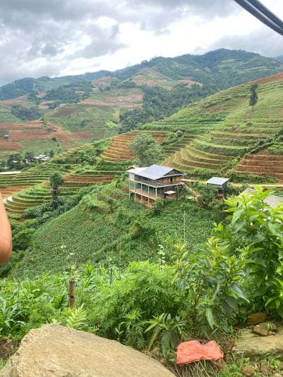 The image captures a detailed panoramic view of extensive terraced fields carved into mountainous terrain under an overcast sky in Dế Xu Phình, Vietnam. The hillsides are predominantly covered with agricultural terraces, displaying varying shades of green from lush crops, likely rice or corn, alongside sections of reddish-brown soil where fields are fallow or newly tilled. Dense natural vegetation and trees are interspersed between the cultivated areas and on higher slopes.

In the mid-ground, a prominent two-story dwelling with a dark gray roof and light-colored walls (possibly bamboo or wood) is built into the hillside, overlooking the terraced landscape. A smaller, single-story structure with a lighter green roof is situated to its right, further up a winding dirt path. Two motorcycles are parked on this path near the smaller building. Numerous smaller, simpler huts are scattered across the distant terraced fields. A tall, slender tree stands alone on a terraced slope to the right of the main building.

The foreground features dense green foliage, including broad-leafed plants, ferns, and what appears to be young corn crops. A large, light-colored boulder occupies the bottom left corner, partially obscuring a person's arm or shoulder. An orange plastic bag or piece of fabric is visible on the ground among the foreground vegetation near the boulder. A bamboo pole is vertically positioned amidst the foreground crops. The sky is uniformly gray with heavy cloud cover.