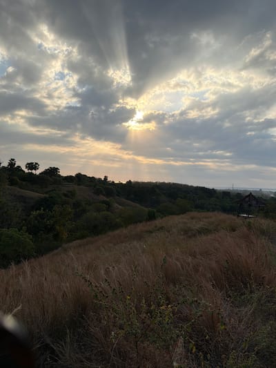 The image depicts a landscape at dawn or dusk, with the sun's rays breaking through scattered clouds. The foreground is dominated by dry, tall grass, suggesting a slightly arid environment. In the middle ground, rolling hills are covered with dense green vegetation, interspersed with scattered palm trees. To the right, a small, rustic open-sided shelter with a thatched roof is visible on a hilltop. The background shows a hazy horizon with a hint of distant structures. This scene is likely located in the natural landscape of Kubutambahan, Indonesia, possibly on a viewpoint overlooking the coast or rural area. There are no people or animals present in the image.