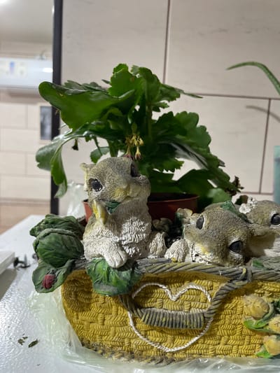 The image shows a close-up of a decorative basket planter containing a green plant and figurines of squirrels. The planter is yellow and has a woven texture. A heart shape made of rope is visible on the front of the planter. A ladybug is perched on a green leaf next to one of the squirrel figurines. The background is blurred, but appears to be an indoor setting with tiled walls and some furniture. There is no indication of the location being Bolshaya Martynovka, Russia.
