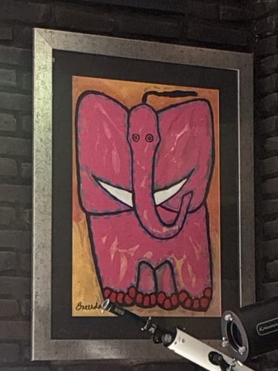 The image depicts a framed piece of artwork hanging on a textured wall. The artwork features a stylized, pink snake with two eyes and a white fang, drawn against an orange-brown background. The snake appears coiled. In the lower right corner of the artwork, there's a signature that reads "Breedlove". A black and silver frame surrounds the artwork. A black and silver object extends into the upper right corner of the frame. The image does not provide enough context to determine location in the city of Cañada de Madero, Mexico.