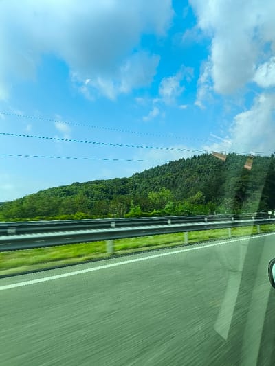 This forensic image depicts a highway landscape observed from a moving vehicle near Eckartswiller, France. The scene features a grey asphalt road with a solid white shoulder line on the left, running parallel to a two-tier metal guardrail. Beyond the guardrail, a green grassy slope ascends to a dense, deciduous forest covering a significant hill. The upper portion of the frame displays a clear blue sky with scattered white cumulus clouds. Horizontal dashed lines, likely power lines or window reflections, traverse the upper-left sky. Reflections on the vehicle's window include an obscured view of a side mirror on the far right and indistinct patterns. Motion blur across the lower half of the image indicates vehicular movement. No individuals are present in the frame.