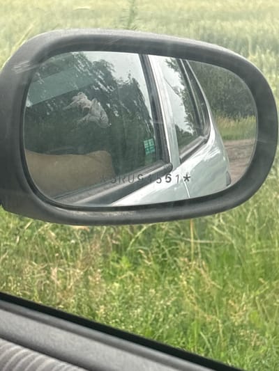 The image is a close-up shot of a car's side mirror reflecting a rural landscape. The mirror itself is framed by a black casing. In the reflection, we see trees and a light-colored car. There is a sticker on the car's window with text that appears to be "USRUS 551*". The background of the scene, seen through the mirror, is dominated by green grass and vegetation, suggesting an outdoor, possibly unpaved area. The image appears to be taken from inside the car, looking out towards the side mirror. There is no indication of the city of Słupia pod Kępnem, Poland, within the image itself.
