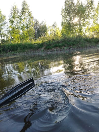 The image captures a water scene in Stroitel', Russia. A black paddle cuts through the water, creating ripples and disturbance. The water reflects the surrounding trees and sunlight, indicating a body of water possibly a lake or a slow-moving river. The sunlight is visible through the trees on the far bank. The vegetation includes trees and lower-lying grasses. There are no people directly visible.