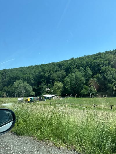 The image captures a rural scene on a sunny day, likely in the vicinity of Niederwetz, Germany. In the foreground, a gravel road is visible on the left, with the side mirror of a vehicle reflecting the sky and greenery. Tall, green grass and wildflowers grow alongside the road, creating a lush border. Beyond this, a field stretches out, dotted with a few structures that appear to be small buildings or sheds, some with colorful roofs. A wooden fence runs through the field. In the background, a dense, dark green forest covers a sloping hill, under a clear blue sky with faint contrails.
