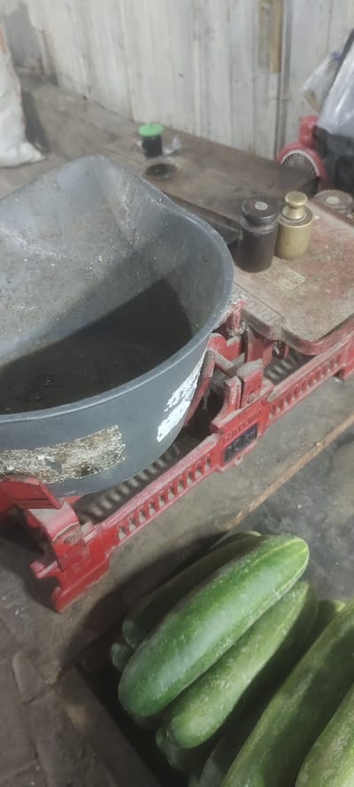 The image shows a red metal scale with a black plastic bowl on top. The scale has a black and a gold weight on top of the platform. It is sitting on a wooden surface in a shop or market. There are a bunch of green cucumbers next to the scale. The location is in Mojokerto, Indonesia. The coordinates are latitude: -7.467, longitude: 112.438. The image is taken from a close-up angle and shows the scale and cucumbers in detail. The scale is likely being used to weigh the cucumbers, and the shop is probably located in an open-air market or a small grocery store.