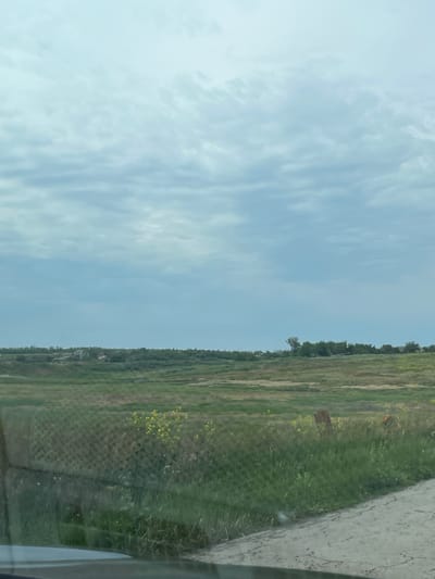 This image depicts an overcast rural landscape in Poltavka, Ukraine. The upper half of the frame is dominated by a light blue-grey sky filled with diffused, scattered cloud formations, appearing brighter towards the top. The horizon, approximately midway up the image, features a distant treeline interspersed with scattered residential or agricultural buildings. On the left side of the distant horizon, several structures are visible, one with a distinct light-colored roof, partially obscured by trees. Towards the right side, a cluster of buildings and trees, including one tall, slender tree, marks another distant settlement.
The mid-ground consists of expansive fields displaying a mix of green and brownish-green vegetation. Patches of bright yellow flowers are visible throughout these fields, most notably in the mid-left foreground. A dark, upright, rectangular object, consistent with a weathered wooden post or marker, is partially visible within the grass in the mid-right. The bottom edge of the photograph reveals the dark grey interior of a vehicle, likely the dashboard or windshield frame. A light-colored dirt path or road is present in the bottom right corner, angling slightly into the scene, bordered by dense green grass. A faint, grid-like pattern is superimposed over a section of the field in the mid-left, suggesting the image was captured through a screen or patterned window. No individuals or specific actions are visible.