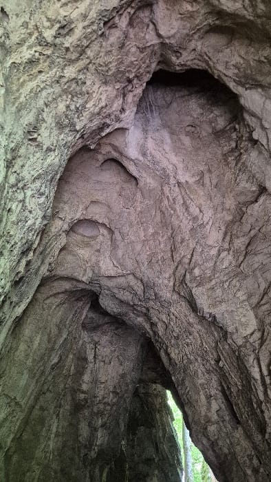 The image captures a cave's interior, showcasing rough, textured rock formations. Dominant colors include gray and beige, with darker shadows suggesting depth. The rock appears weathered, with visible cracks and uneven surfaces. A small opening reveals a glimpse of greenery, contrasting with the enclosed space. The cave's structure is complex, exhibiting layered and curved shapes.
