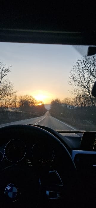 The image displays a forward-facing perspective from within a BMW vehicle, captured at sunrise or sunset. A two-lane asphalt road extends directly ahead into the distance, appearing to crest a slight rise. The sun, a prominent orange-yellow orb, is positioned low on the horizon, illuminating the road and the surrounding landscape. The sky transitions from bright orange and yellow near the sun to a lighter blue-grey overhead. Bare deciduous trees, devoid of foliage, line both sides of the road, indicating a winter or early spring season. In the immediate foreground, the dark, multi-function steering wheel of the BMW, featuring its characteristic logo at the center, occupies the lower left portion of the frame. A partially obscured instrument cluster behind the steering wheel shows a digital reading of "204 KM". Minor particulate matter is visible on the windshield surface. No individuals are present in the visible scene. This location is situated in or near Novi Chiflik, Bulgaria.