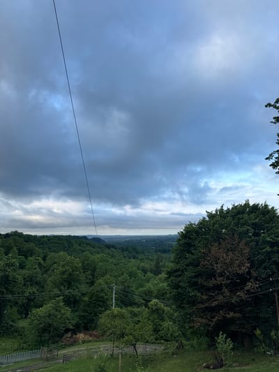 A high-angle, wide shot captures a vast, undulating landscape under a heavy, overcast sky. The foreground features a large, dark green tree with some brown, dead foliage on the right, and a thin, dark cable extending diagonally from the top left corner across the sky. Below this, a dense forest of varying shades of green covers rolling hills that recede into the distance. In the mid-ground, a power pole with multiple wires is visible amidst the trees. The background consists of distant, hazy hills and a flat, indistinct horizon line, suggesting a rural or semi-rural setting, potentially within Akydra, Abkhazia. The overall mood is somber and subdued due to the cloudy conditions.