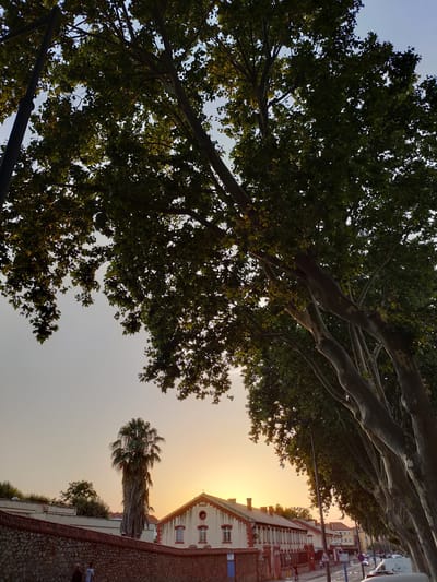 This media file depicts a street scene in Perpignan, France, at sunset. The foreground is dominated by a row of large trees with lush green foliage, their branches arching over the street. The setting sun casts a warm, golden glow across the sky, creating a serene and peaceful atmosphere.
In the mid-ground, a long, low-rise building with a red-tiled roof and white walls is visible. It has several windows and is adorned with decorative architectural elements. Adjacent to the building is a tall palm tree, its fronds appearing dry and wispy. A stone wall runs along the street in front of the building. Two people are walking along the sidewalk near the wall.
Further down the street, other buildings and a few vehicles are discernible, including a white van. Street signs are also present. The overall scene suggests a quiet evening in a European city. The time of day is clearly sunset due to the warm, low-angled light and the golden hue of the sky. The weather appears clear and calm. The presence of a palm tree and the architectural style of the buildings hint at a Mediterranean or southern European location, which is consistent with Perpignan, France. No text is clearly legible in the image.