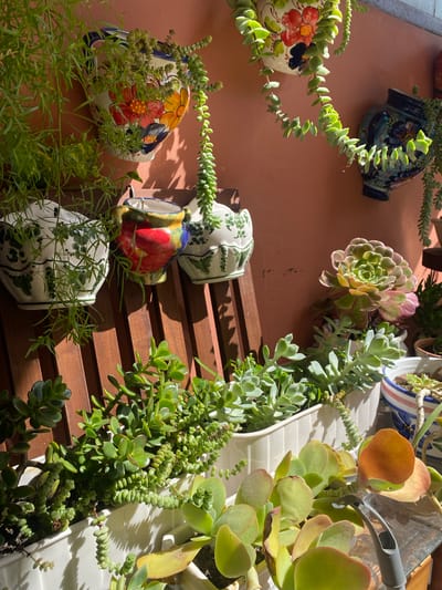 This is a high-angle, eye-level shot of an outdoor plant display against a terracotta-colored wall. The scene is filled with various succulent plants in decorative ceramic pots. Several pots are shaped like cups or small pitchers and are adorned with colorful hand-painted designs, including flowers and abstract patterns. Some of these pots hang on the wall, while others rest on a slatted wooden surface.
The plants themselves vary in form and color. There are trailing succulents with small, rounded leaves, as well as succulents with thicker, fleshy leaves. One prominent succulent in the upper right of the frame has large, paddle-shaped leaves with reddish-orange tips. Another plant, located more centrally, has layered rosettes of green and pink leaves.
Sunlight casts strong shadows across the scene, suggesting it is daytime, likely mid-morning or afternoon. The bright sunlight also highlights the vibrant colors of the pots and plants. The overall impression is one of a well-maintained and aesthetically pleasing outdoor garden or patio area, possibly in a warm climate given the plant choices and wall color. The location context indicates this is Resinera-Voladilla, Spain. There is no visible text in the image.